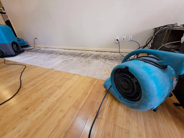 Professional Ceiling Water Damage Repair technician working in Kenvil, NJ